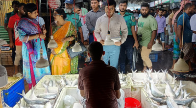 বরিশাল ইলিশের বাজারে ভোক্তার অভিযান