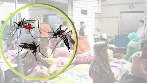 বরিশাল ১০ দিনে সরকারী হাসপাতালে ৭ শতাধিক ডেঙ্গু রোগী