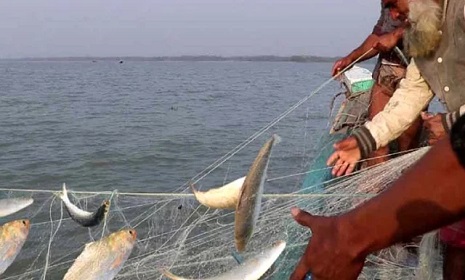 বরিশালে ৭ দিনে ১২৯ জেলের কারাদণ্ড