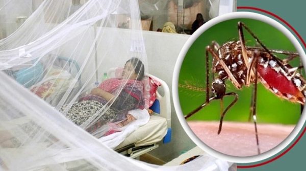 দেশে ডেঙ্গুতে ১০ জনের মৃত্যু, হাসপাতালে ভর্তি ৮৮৬
