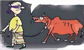 ভোলা চোর আতঙ্কে রাত জেগে পাহারা