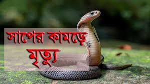 পিরোজপুরে এক ছোবলেই প্রাণ গেল কৃষকের
