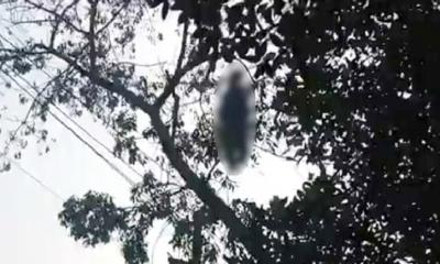 গাছে ঝুলতে থাকা লাশের পরিচয় মিলেছে