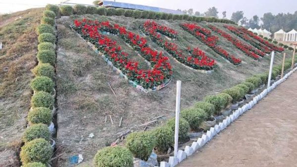 চট্টগ্রাম ডিসি পার্ক ১৩৬ প্রজাতির ফুলে সাজানো