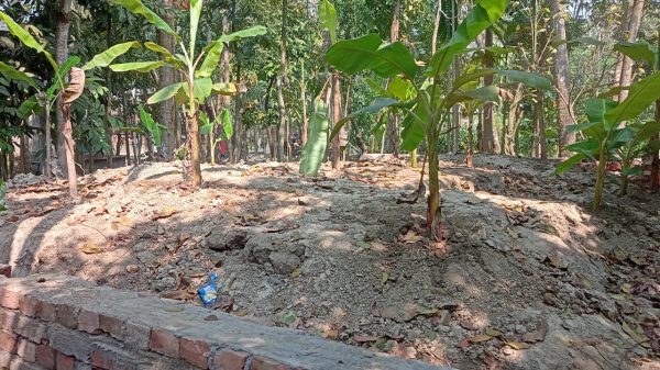 চন্দ্রমোহন আদালতের নির্দেশ অমান্য করে জমি দখলের চেষ্টা