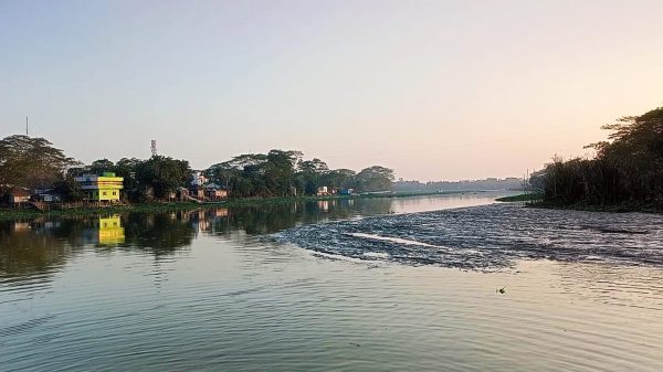 একের পর এক সেতু নির্মাণের ফলে নাব্যতা হারাচ্ছে সাতলার কচা নদীর শাখা।