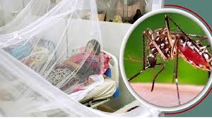 ডেঙ্গুতে আরও ৪ জনের মৃত্যু, হাসপাতালে ৯২০