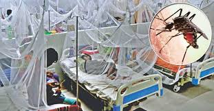 সারাদেশে ডেঙ্গুতে একদিনে আরও তিনজনের মৃত্যু, হাসপাতালে ভর্তি ৯১২