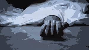 কিশোরগঞ্জে বিদ্যুৎস্পৃষ্টে প্রাণ গেল ২ ভাইয়ের