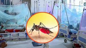 ডেঙ্গুতে আরও ৩ মৃত্যু, ভর্তি ৫৯৩