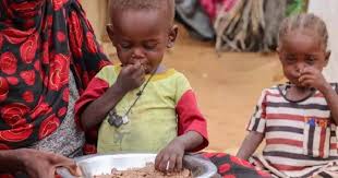 সুদানে অপুষ্টিতে মৃত্যু ২৩ শিশুর