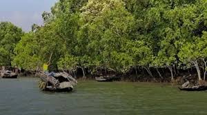 সুন্দরবনে কাঁকড়া ধরতে গিয়ে চার জেলে অপহৃত, মুক্তিপণ দিয়ে বাড়ি ফিরেছেন একজন