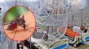 সারাদেশে ডেঙ্গুতে ২ মৃত্যু, হাসপাতালে ভর্তি ১১৭৯