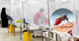 প্রাণ ঘাতিক ডেঙ্গুতে মারা  গেল আরো ৫