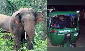 কাপ্তাইয়ে বন্যহাতির আক্রমণে নিহত ২, আহত ৩