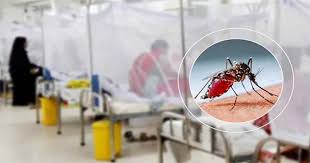 ডেঙ্গুতে ৩ জনের মৃত্যু, আক্রান্ত ছাড়াল ৮৬ হাজার